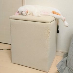 お直し前爪とぎBOX